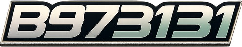 b973131
